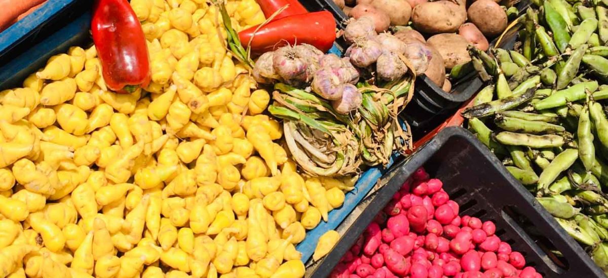 mercados campesinos