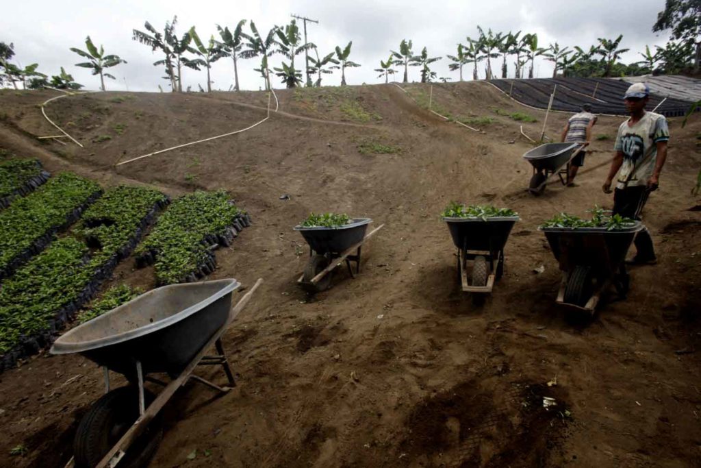 restitución de tierras