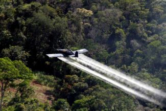 Procuraduría glifosato