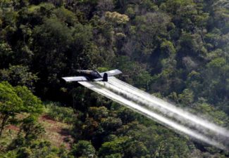 Procuraduría glifosato