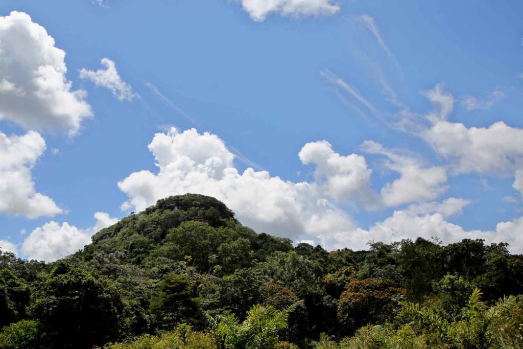el Tribunal Superior de Bogotá sólo recibirá propuestas de quienes quieran intervenir en las audiencias hasta el próximo 18 de septiembre. 