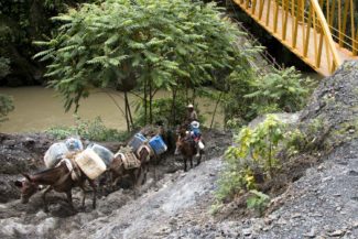 presupuesto de la paz