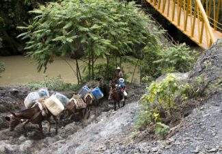 presupuesto de la paz