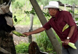 Restitución de tierras