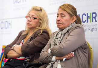 Caso CIDH Paola Guzmán