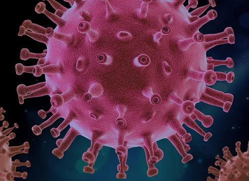coronavirus