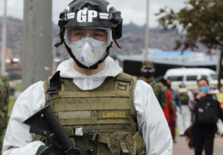 RUY_Columna ley estatutaria