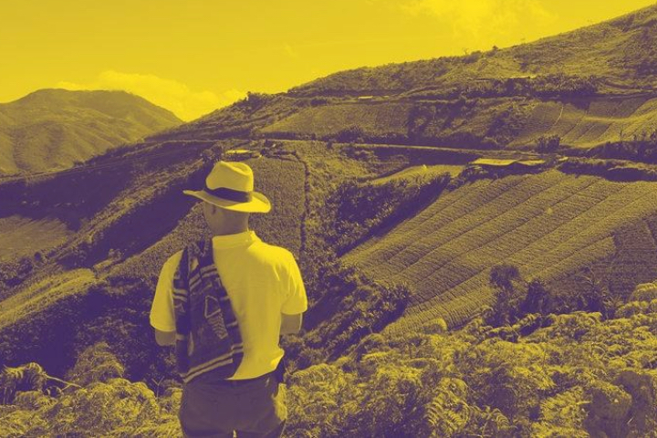 audiencia fumigaciones glifosato