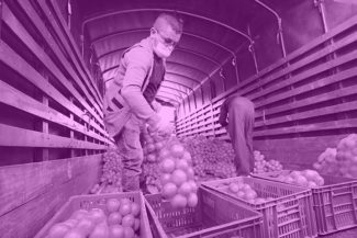 DECLARACIÓN CAMPESINOS