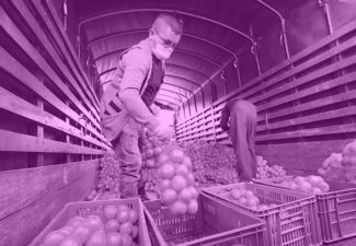 DECLARACIÓN CAMPESINOS