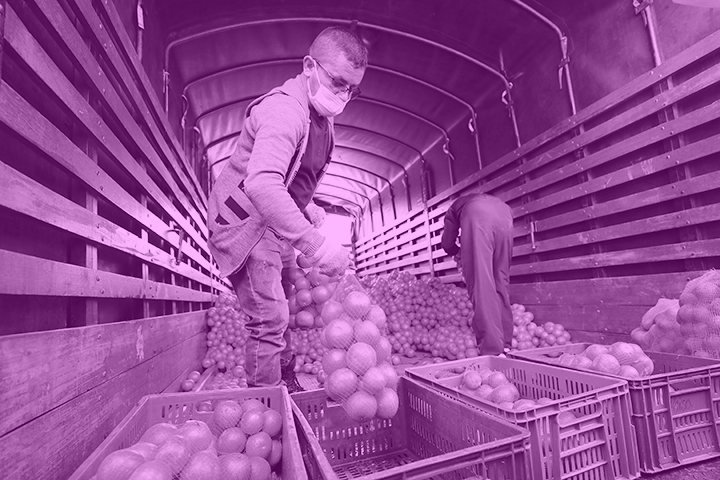 DECLARACIÓN CAMPESINOS