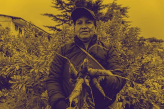 Columna RUY Campesinado