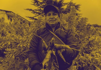 Columna RUY Campesinado