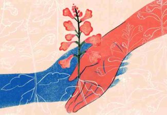 Medicamentos opioides