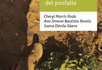 Tierras restitución