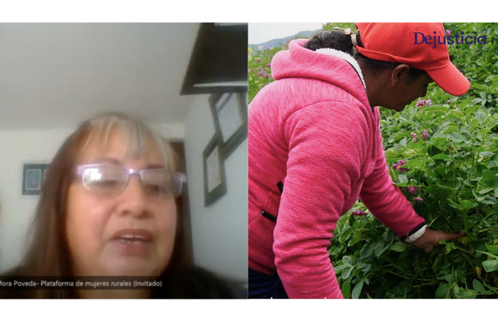 video audiencia campesina