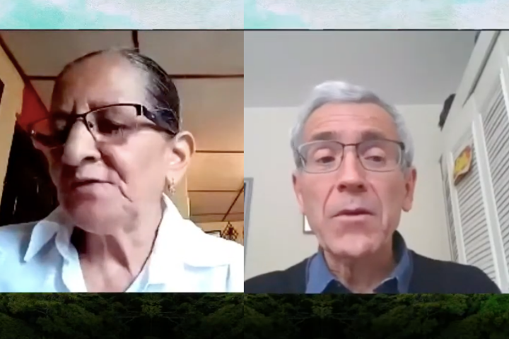 los llamamos inocentes