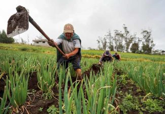 Cuatro años del Acuerdo de Paz