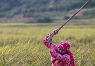 Mercados campesinos justicia alimentaria