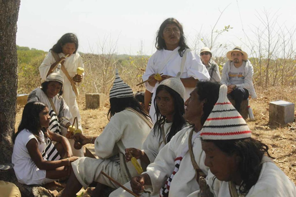 Línea Negra Consejo de Estado