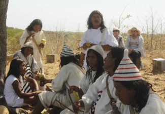 Línea Negra Consejo de Estado