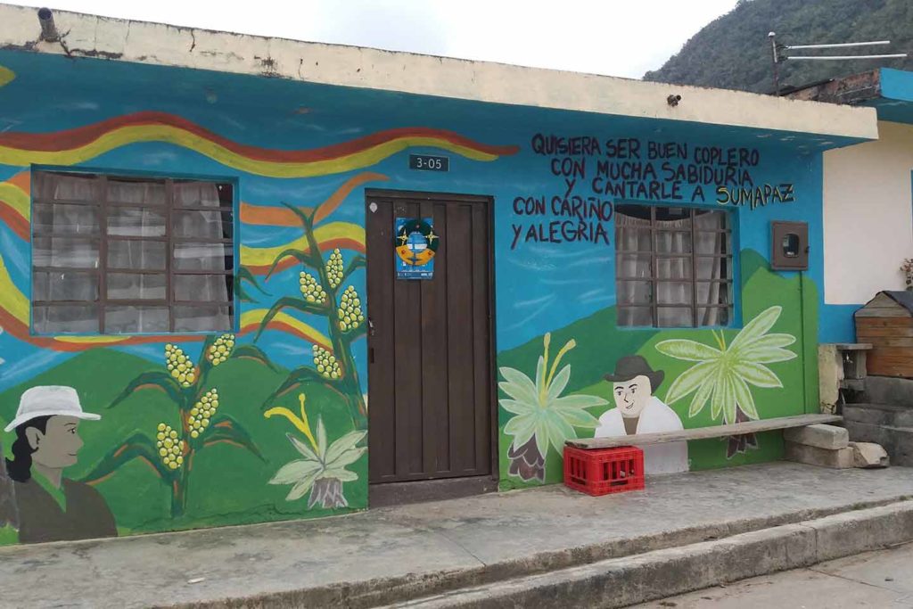 Constitución Zona de Reserva Campesina