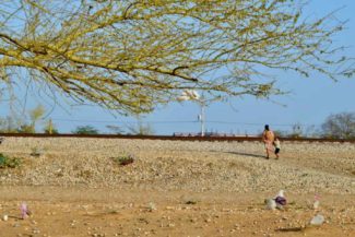 Corte Constitucional Guajira
