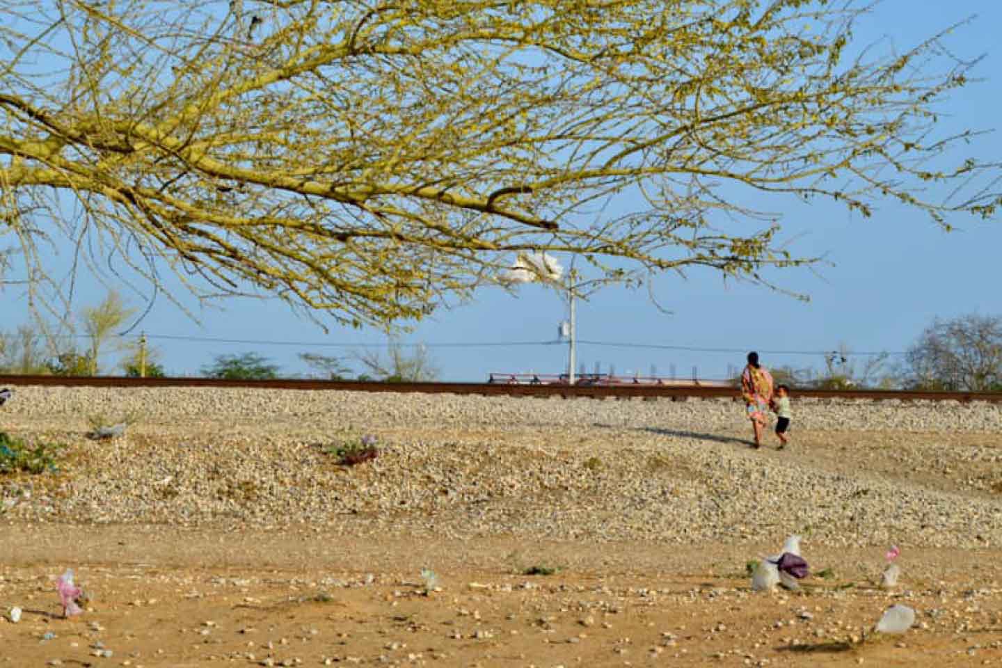 Corte Constitucional Guajira