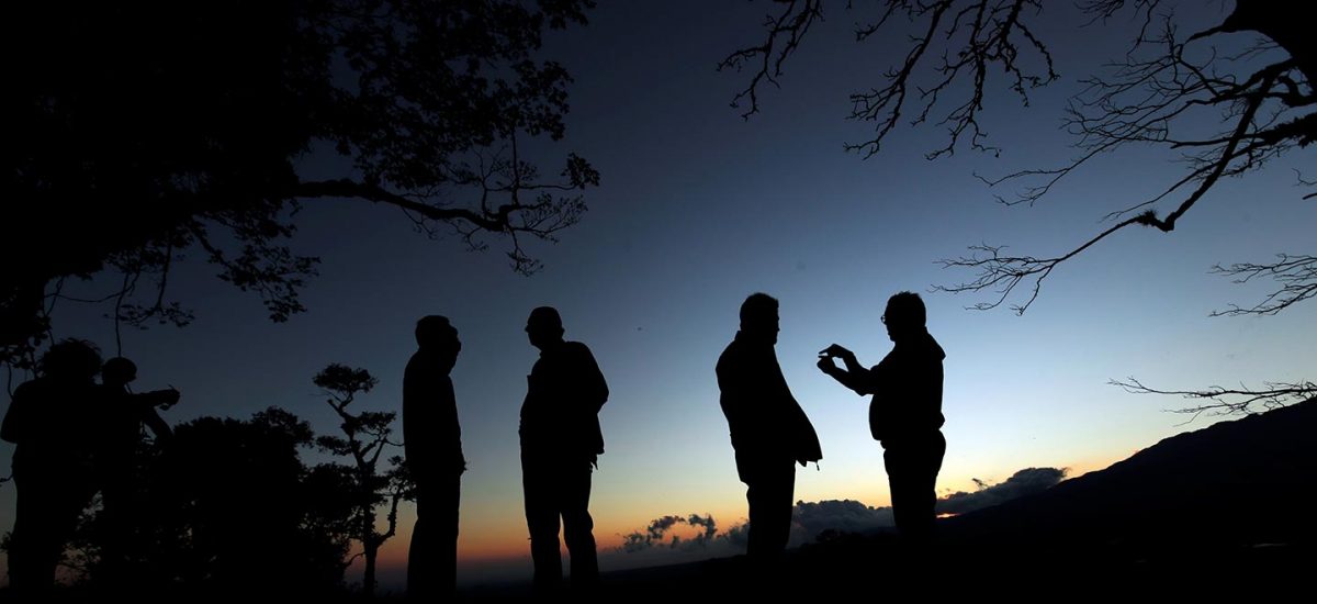 Restitución de tierras