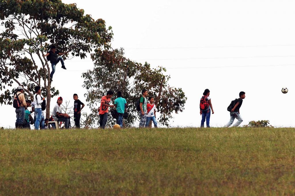 tutela zonas de reserva campesina