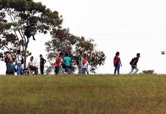 tutela zonas de reserva campesina
