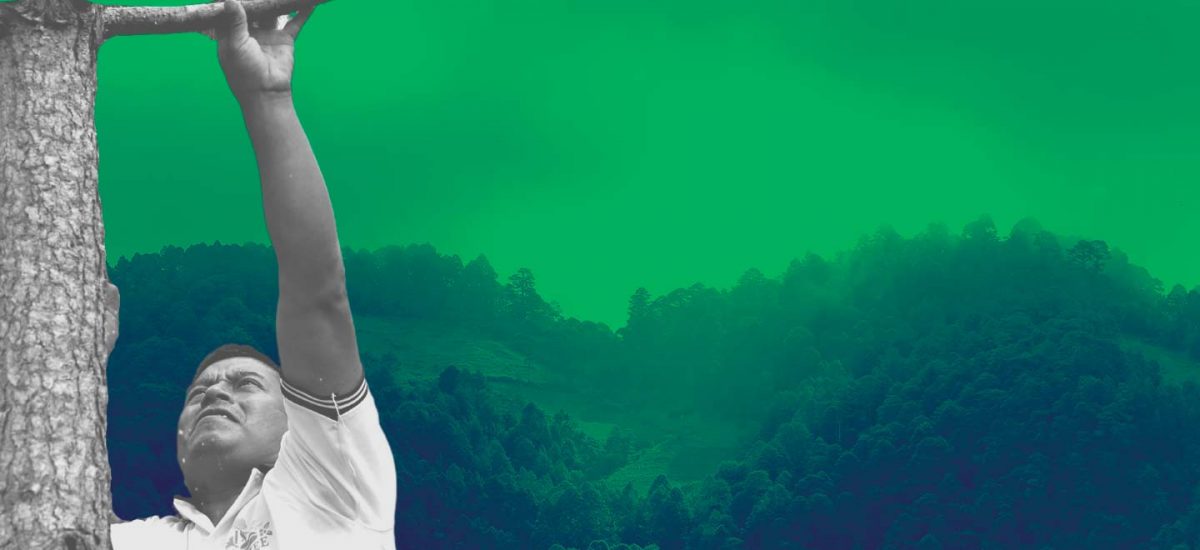 Líderes ambientales