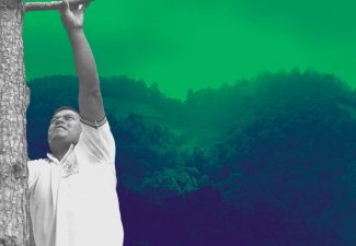 Líderes ambientales