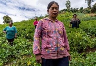 género acceso a tierras