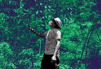 presupuesto para la tierra