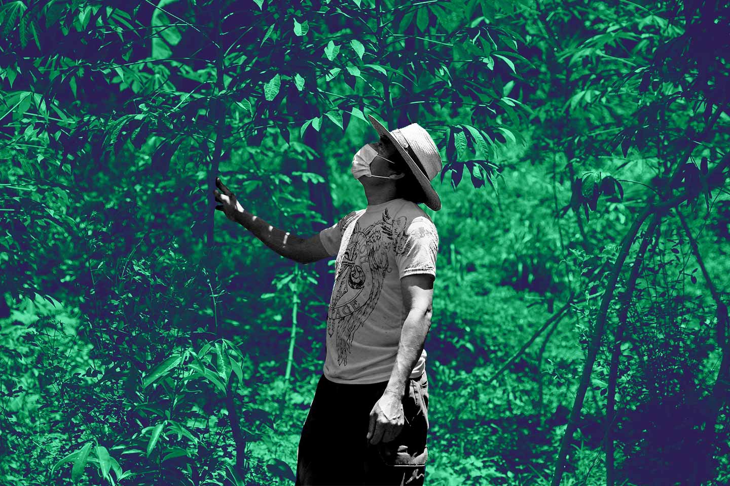 presupuesto para la tierra