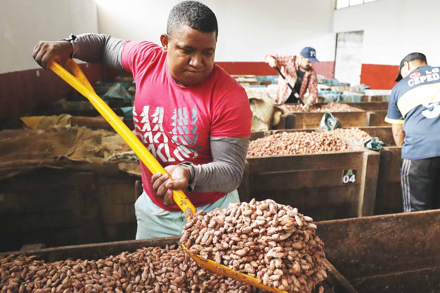 Transformación territorial