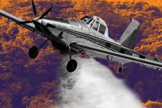 Corte Constitucional Ambiente