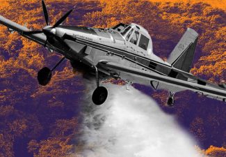 Corte Constitucional Ambiente