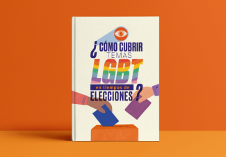 Elecciones LGBT