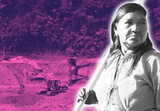 Consulta previa intercultural