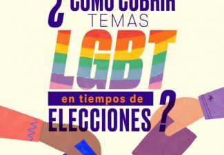Elecciones LGBT