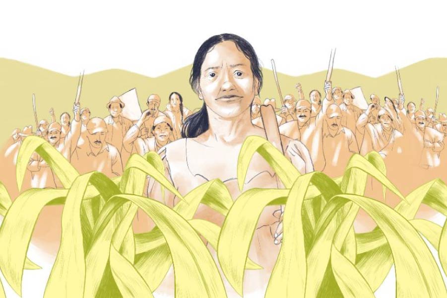 Guerra contra el campesinado-01