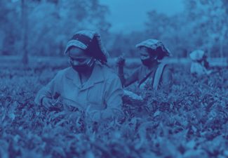 Restitución de tierras