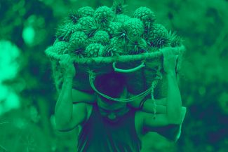 Justicia agraria en Colombia-5