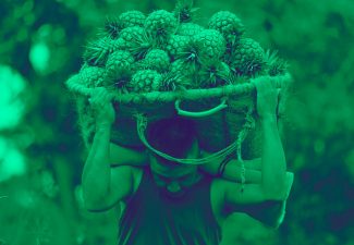 Justicia agraria en Colombia-5