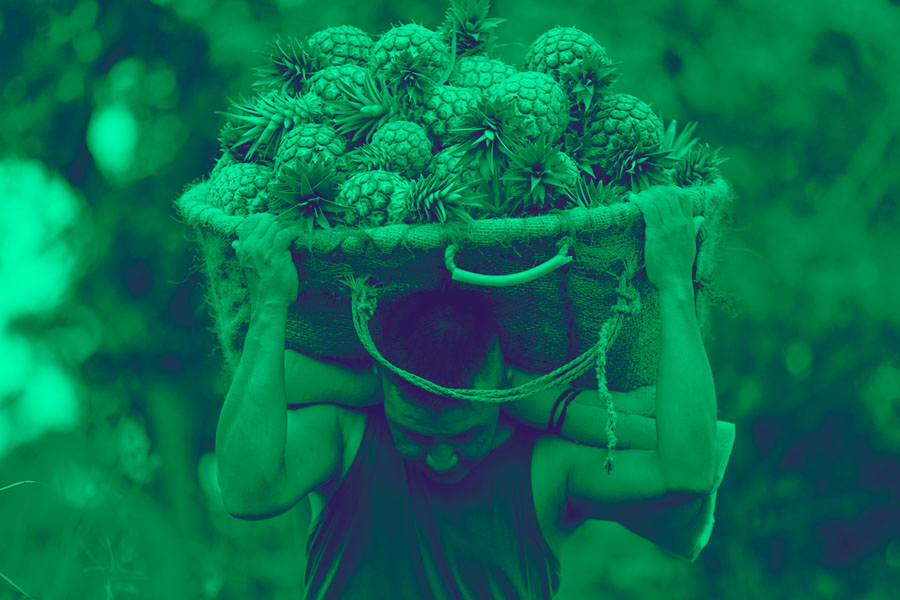 Justicia agraria en Colombia-5