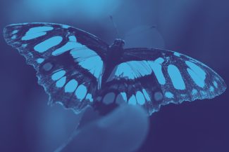 Verdades de nuestra guerra