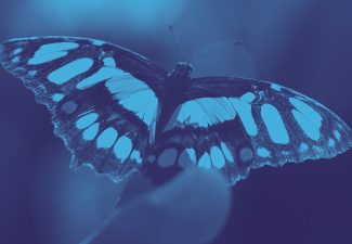 Verdades de nuestra guerra