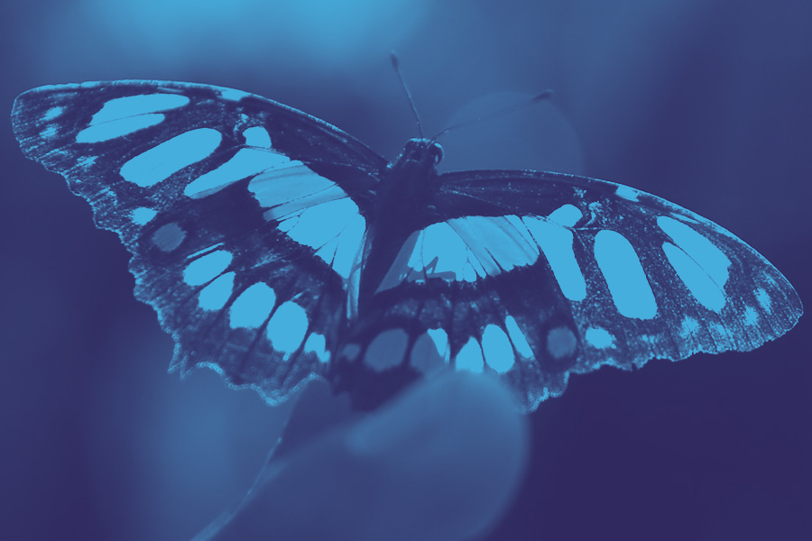 Verdades de nuestra guerra